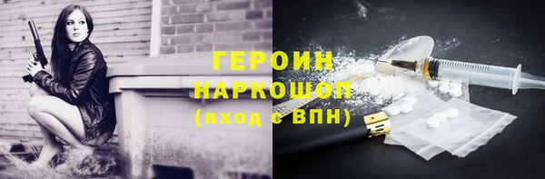 молекула духа Новозыбков
