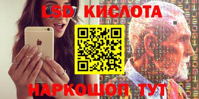 ГАЛЛЮЦИНОГЕННЫЕ ГРИБЫ Новодвинск