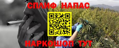 ГАЛЛЮЦИНОГЕННЫЕ ГРИБЫ Новодвинск