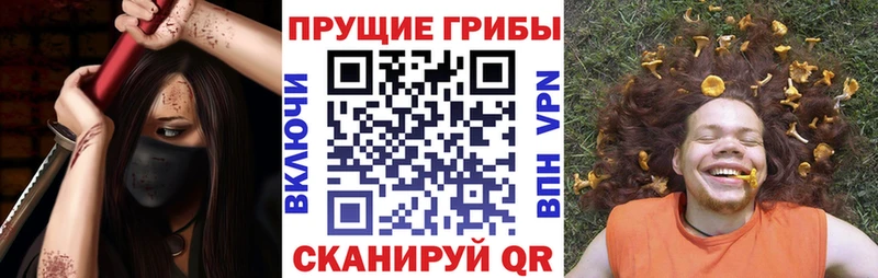 Псилоцибиновые грибы Cubensis  наркотики  Уварово 