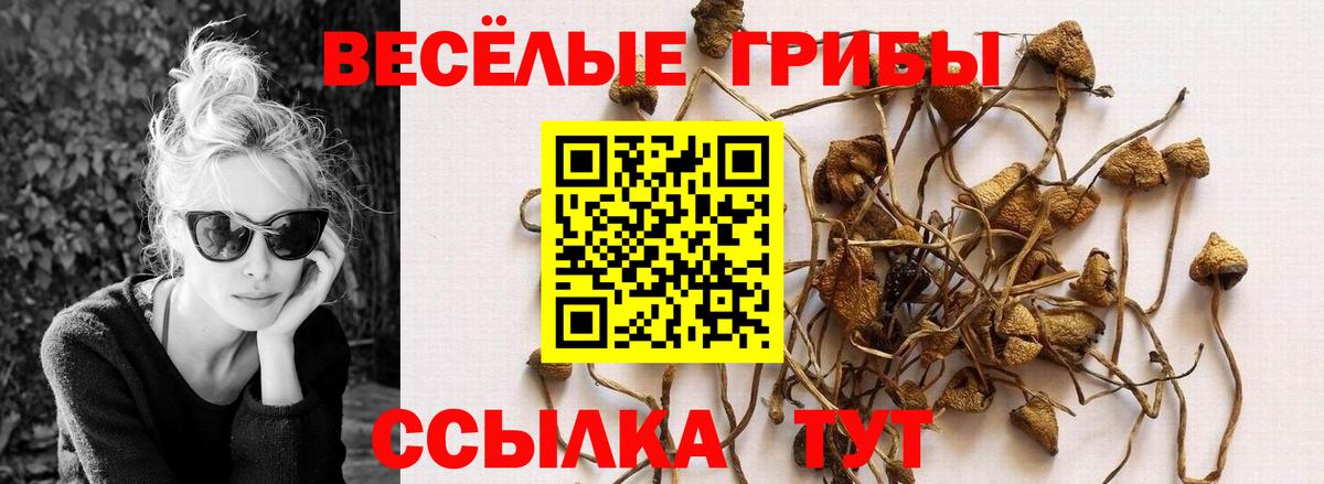 Конопля  КОКАИН  Уварово  Вход с VPN  Меф МЯУ МЯУ кристаллы 