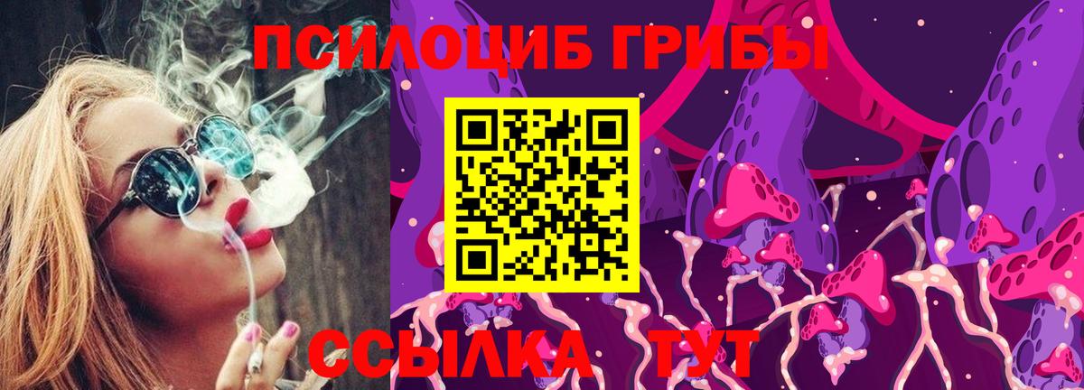 Галлюциногенные грибы Psilocybine cubensis Уварово