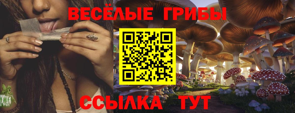 Псилоцибиновые грибы Cubensis  Вход с VPN  Уварово  Псилоцибиновые грибы мицелий 