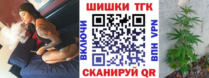 Бошки Шишки планчик  закладки  Уварово 